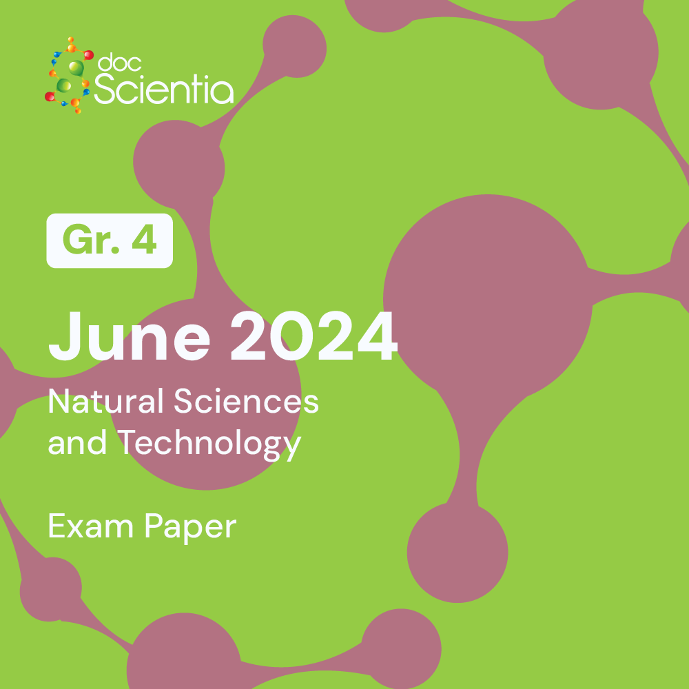 Grade 4 Natural Sciences and Technology June Exam 2024