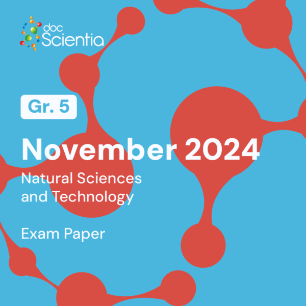 Grade 5 Natural Sciences and Technology November Exam 2024