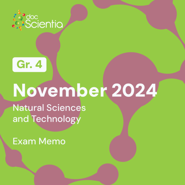 Grade 4 Natural Sciences and Technology November Exam Memo 2024