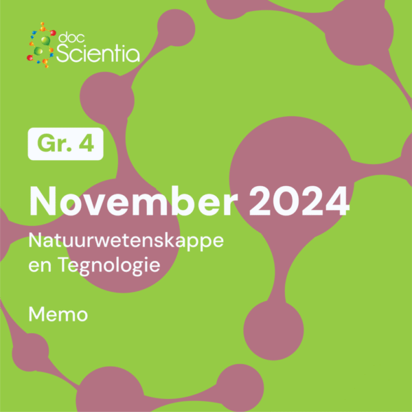 Graad 4 Natuurwetenskappe en Tegnologie November Eksamen Memo 2024