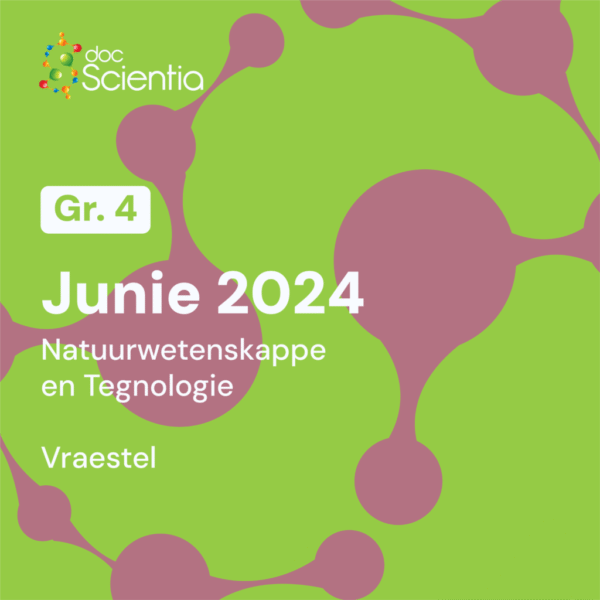 Graad 4 Natuurwetenskappe en Tegnologie Junie Eksamen 2024