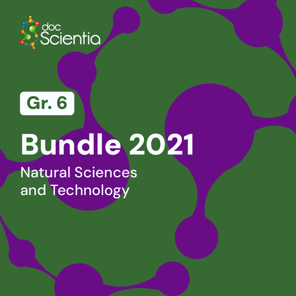 Grade 6 Natural Sciences and Technology Bundle 2021