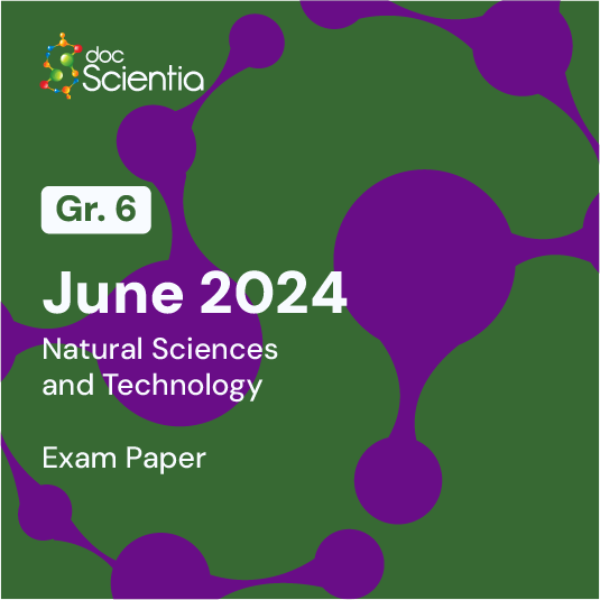 Grade 6 Natural Sciences and Technology June Exam 2024