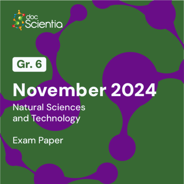 Grade 6 Natural Sciences and Technology November Exam 2024