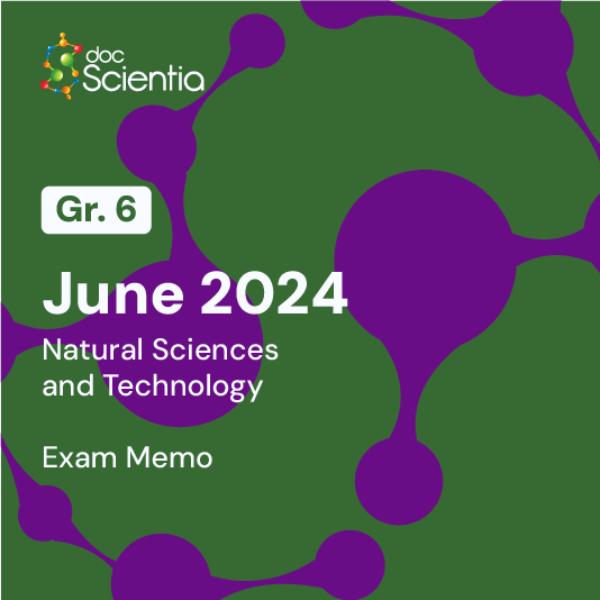 Grade 6 Natural Sciences and Technology June Exam Memo 2024
