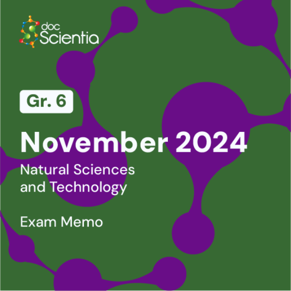 Grade 6 Natural Sciences and Technology November Exam Memo 2024