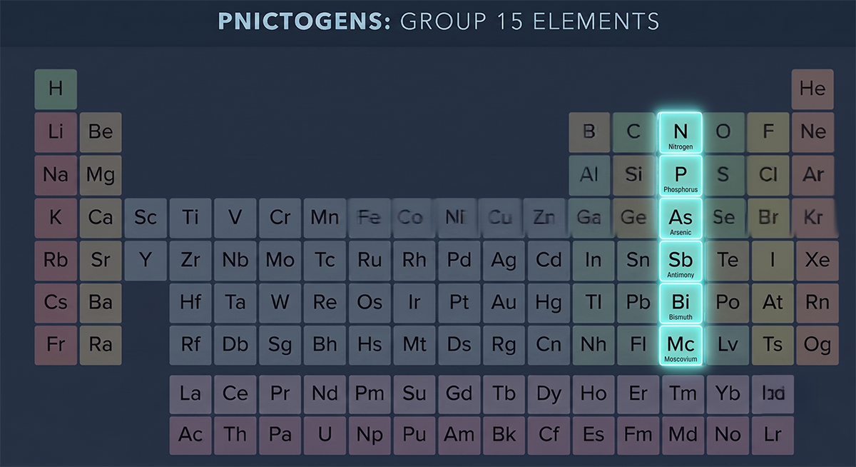 Exploring Group 15: From Life’s Building Blocks to Heavy Metals